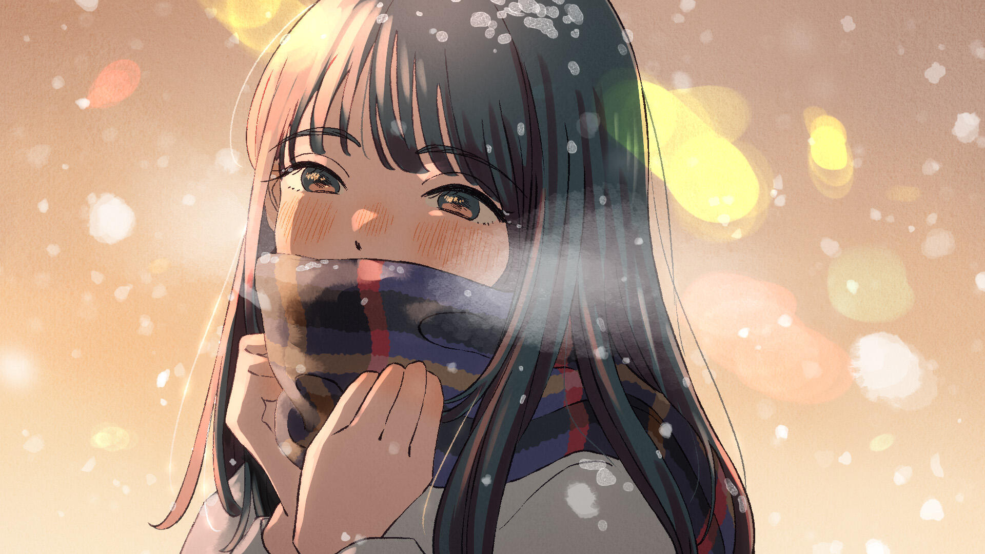 sof_c490323_RGB_240515.jpg